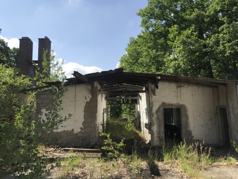 Sanatorium neuropsychiatrii dziecięcej, Nowe Czarnowo, województwo zachodniopomorskie - relacja z 06.2020, zdjęcie 10