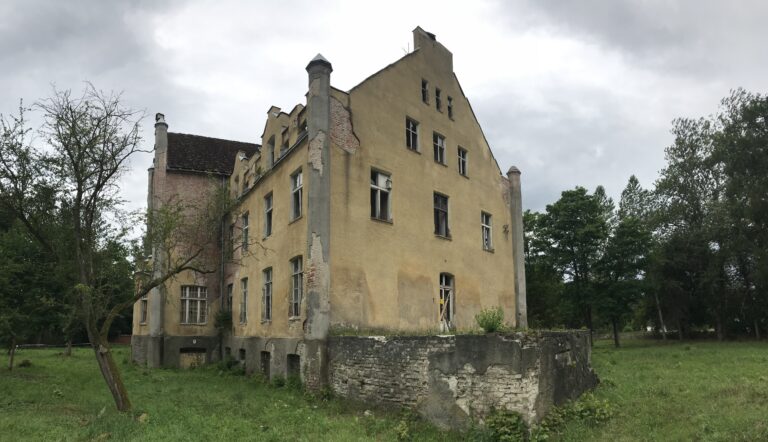 Pałac w Dobrowie, Rozłazino, województwo zachodniopomorskie - relacja z 07.2020, zdjęcie 4