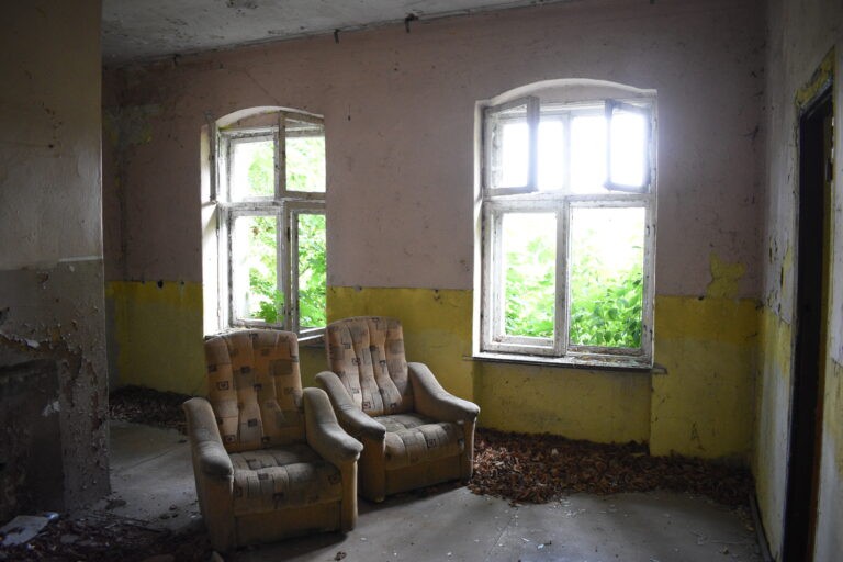 Pałac w kłodzie Górowskiej, Kłoda Górowska, województwo dolnośląskie - relacja z 07.2020, zdjęcie 9