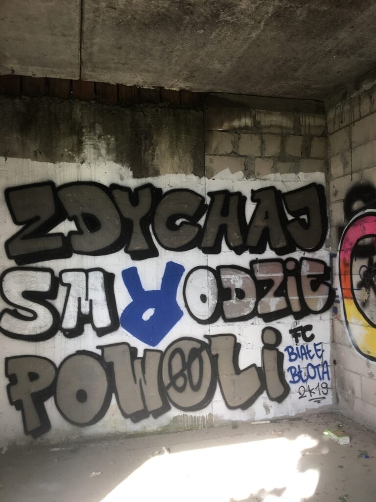 Niedokończony dom, Kruszyn Krajeński, województwo kujawsko-pomorskie - zdjęcie 3
