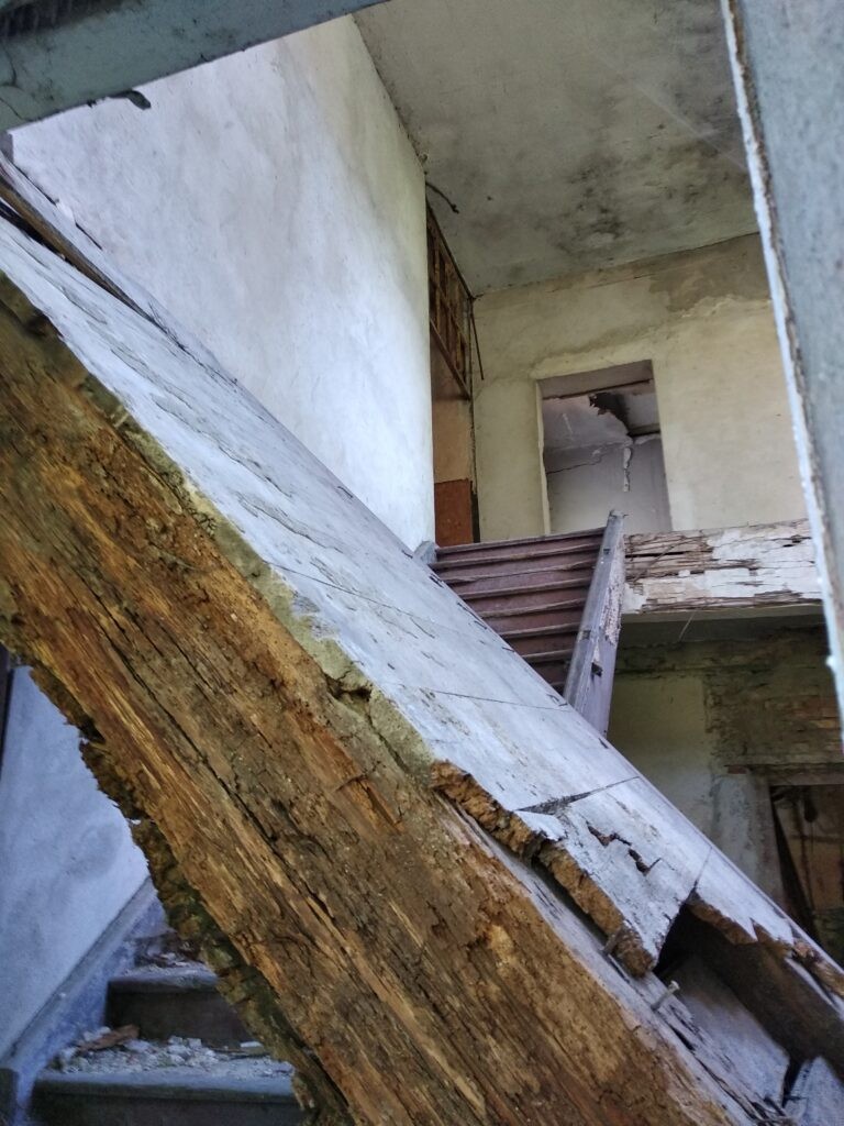 Ruiny Dworu – Świętoszowice, Świętoszowice, województwo śląskie - relacja z 07.2020, zdjęcie 15