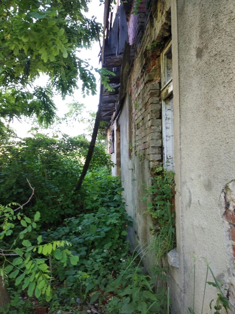 Ruiny Dworu – Świętoszowice, Świętoszowice, województwo śląskie - relacja z 07.2020, zdjęcie 14