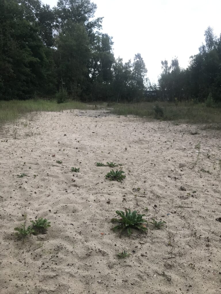 pozostałości po starej rozlewni browaru, Gdańsk, województwo pomorskie - relacja z 08.2020, zdjęcie 1