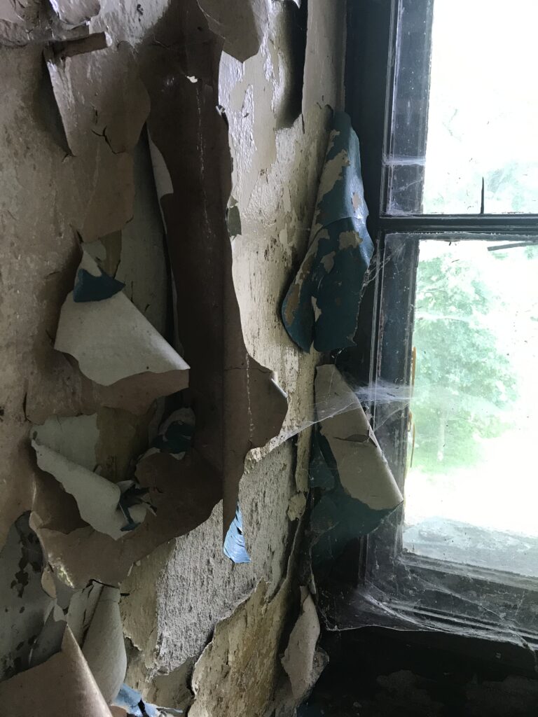 Zespół pałacowo-parkowy Koniecpolskich, Koniecpol, województwo śląskie - zdjęcie 4