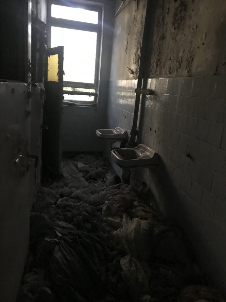 Okrąglaki, Miałkówek, województwo mazowieckie - relacja z 08.2020, zdjęcie 43