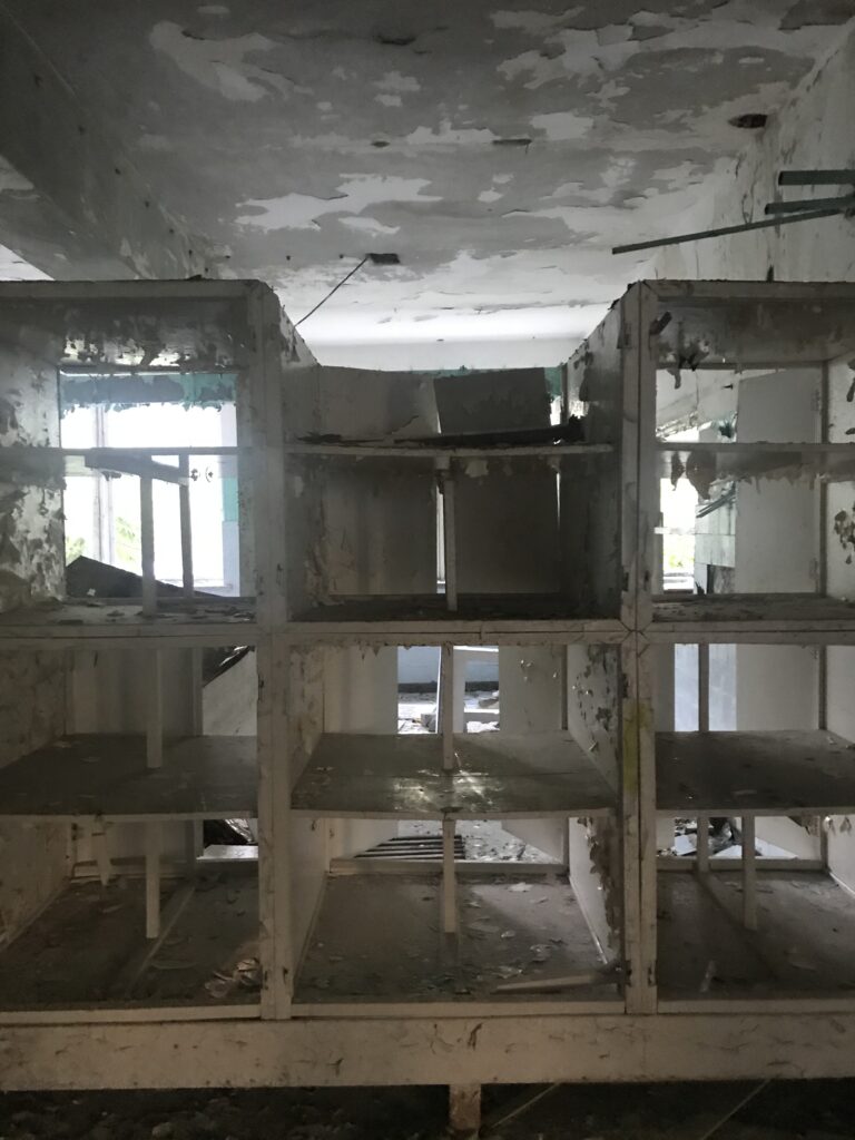 Okrąglaki, Miałkówek, województwo mazowieckie - relacja z 08.2020, zdjęcie 40