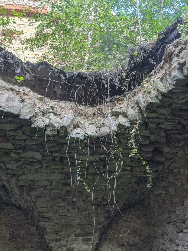 Pałac Tarłów, Podzamcze, województwo świętokrzyskie - relacja z 08.2020, zdjęcie 4