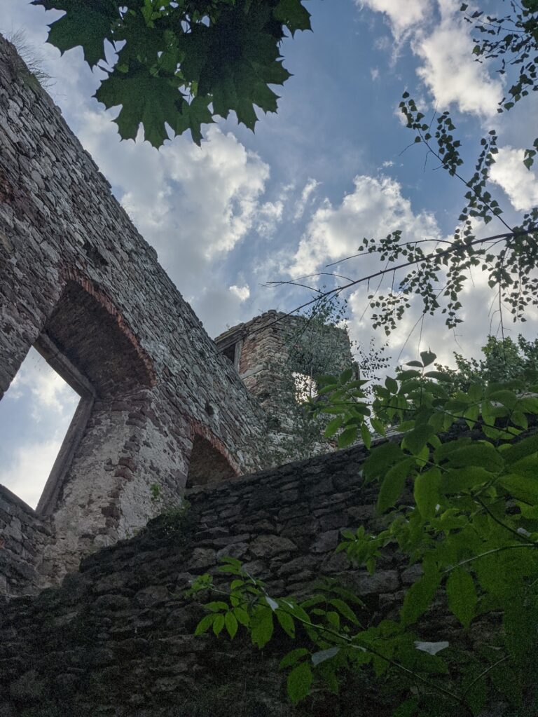 Pałac Tarłów, Podzamcze, województwo świętokrzyskie - relacja z 08.2020, zdjęcie 3