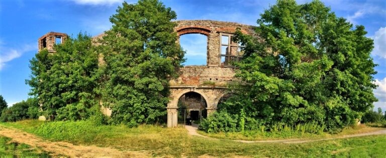 Pałac Tarłów, Podzamcze, województwo świętokrzyskie - relacja z 08.2020, zdjęcie 2