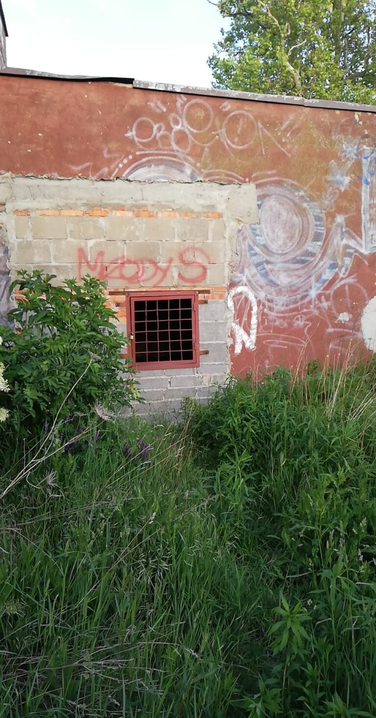 Opuszczony budynek, Głogów, województwo dolnośląskie - zdjęcie 1