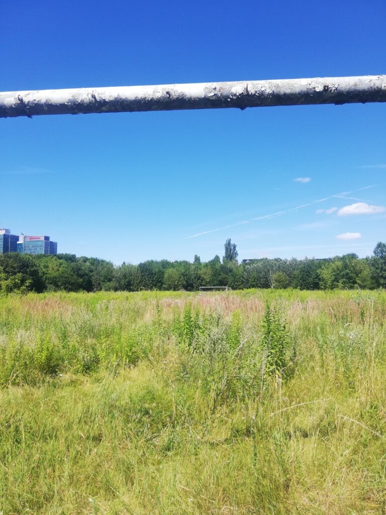 Stadion im. E. Szyca, Poznań, województwo wielkopolskie - relacja z 08.2020, zdjęcie 2