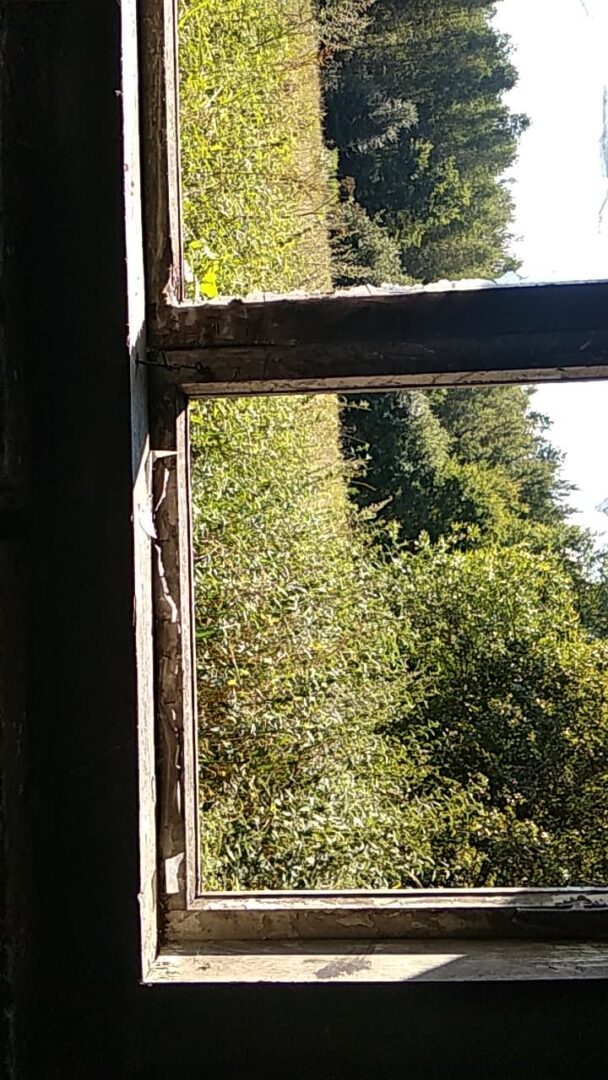 Opuszczona obora i studnia, Tumlin-Dąbrówka, województwo świętokrzyskie - zdjęcie 1