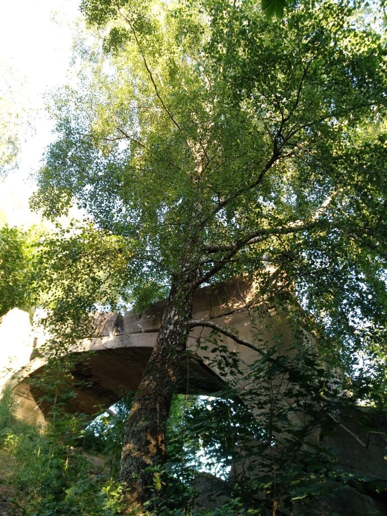 Wysadzony most kolejowy, Kruklanki, województwo warmińsko-mazurskie - relacja z 08.2020, zdjęcie 4