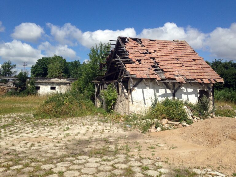 Obory po PGR-ach, Samławki, województwo warmińsko-mazurskie - zdjęcie 3