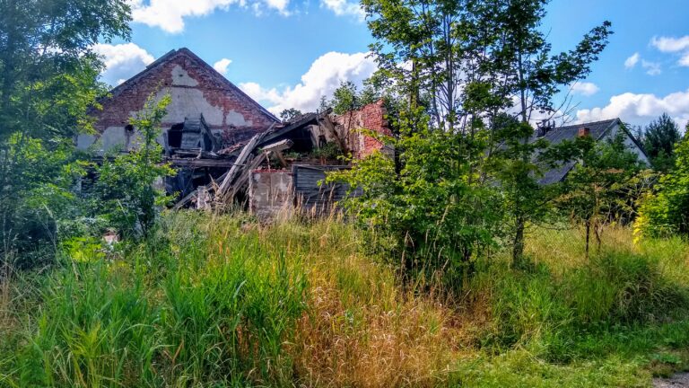 Opuszczone gospodarstwo, Samławki, województwo warmińsko-mazurskie - relacja z 08.2020, zdjęcie 6