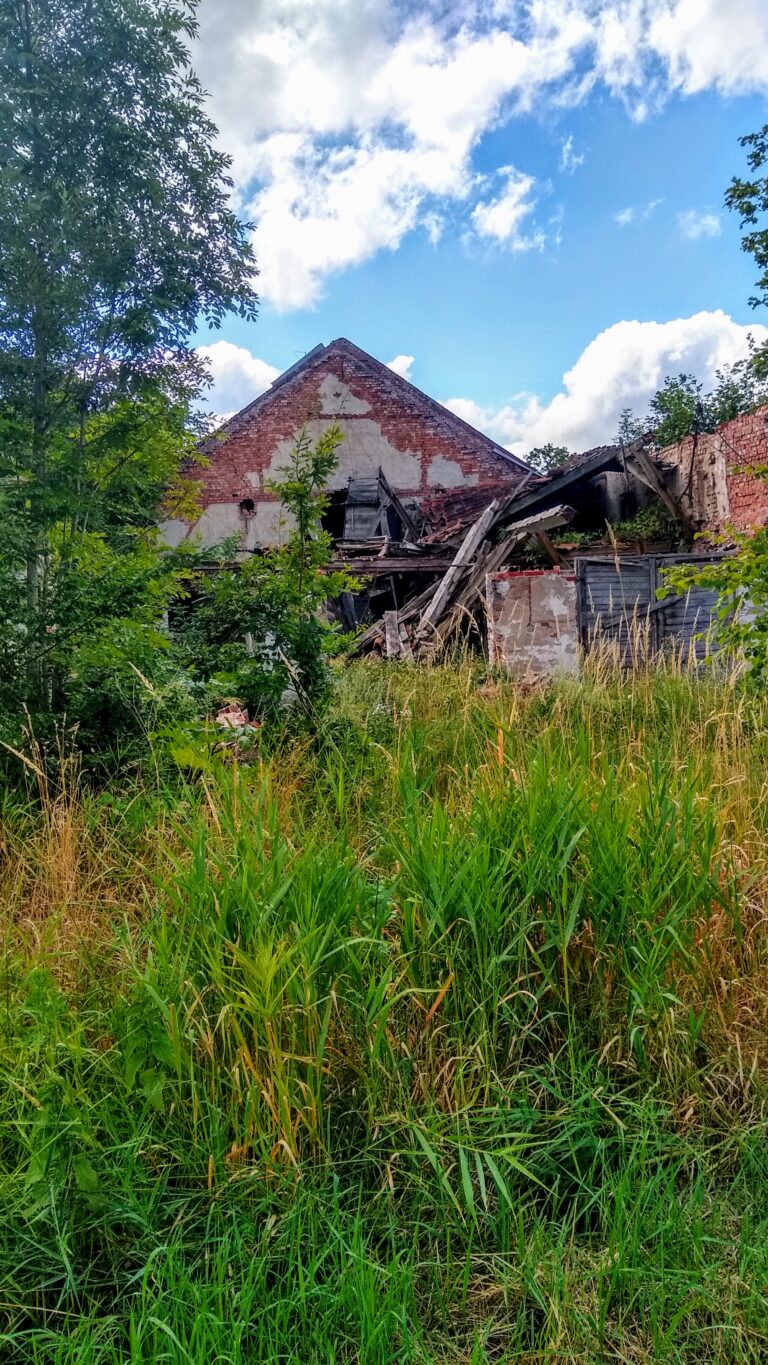 Opuszczone gospodarstwo, Samławki, województwo warmińsko-mazurskie - relacja z 08.2020, zdjęcie 5