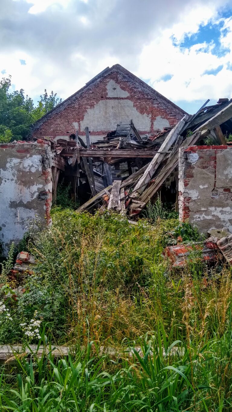 Opuszczone gospodarstwo, Samławki, województwo warmińsko-mazurskie - relacja z 08.2020, zdjęcie 4