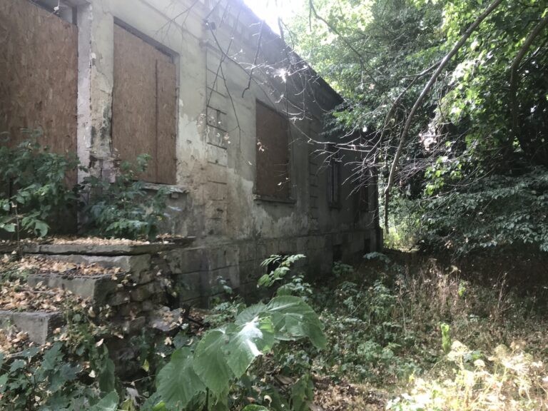Dworek z pierwszej połowy XIX w., Smaszew, województwo wielkopolskie - relacja z 08.2020, zdjęcie 4