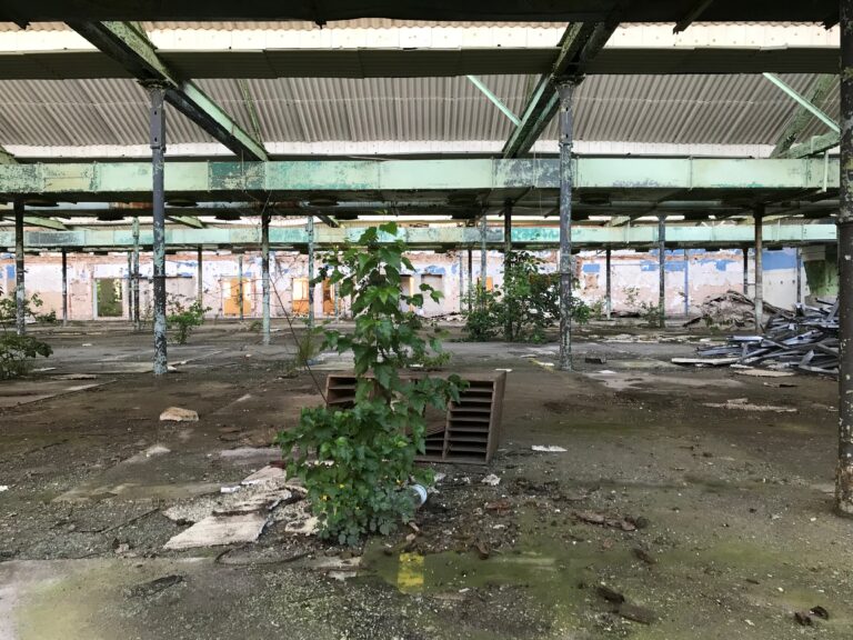 Kombinat rolniczy, Lubniewice, województwo lubuskie - relacja z 08.2020, zdjęcie 7