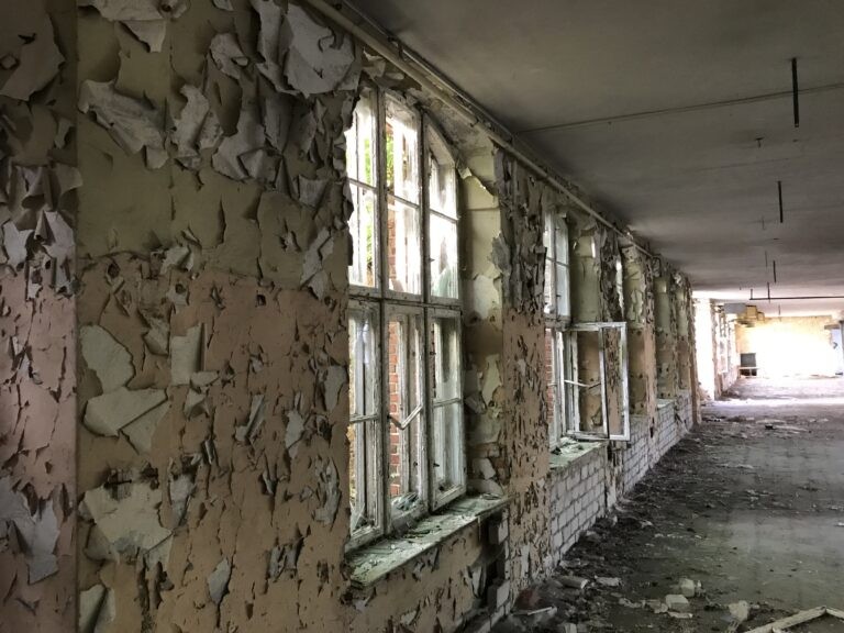 Kombinat rolniczy, Lubniewice, województwo lubuskie - relacja z 08.2020, zdjęcie 4