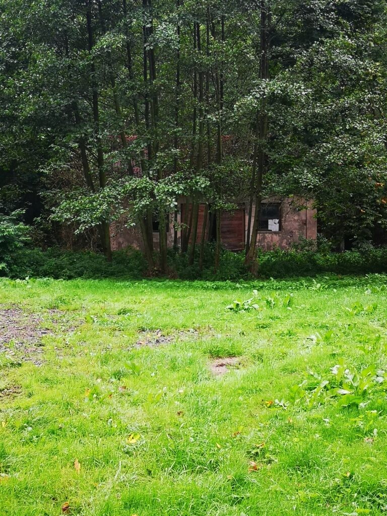 Ośrodek letniskowy, Rogów Wieś, województwo łódzkie - relacja z 09.2020, zdjęcie 3