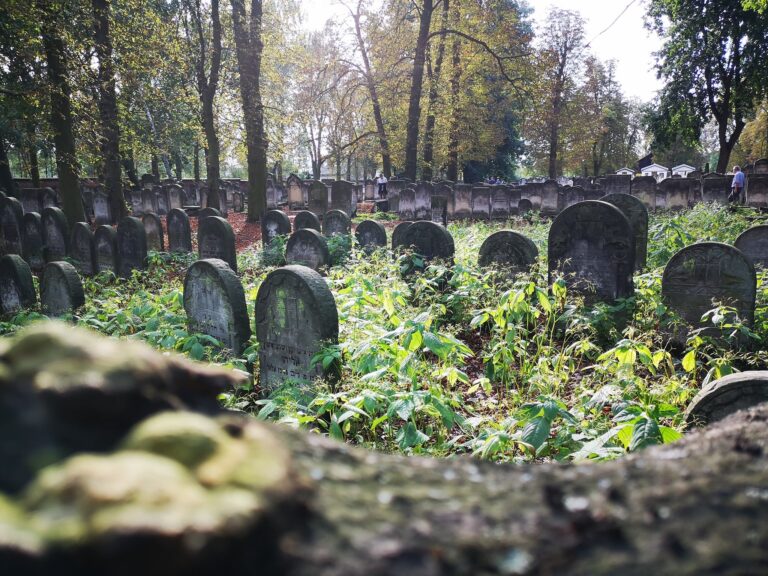 Cmentarz żydowski, Piotrków Trybunalski, województwo łódzkie - zdjęcie 1