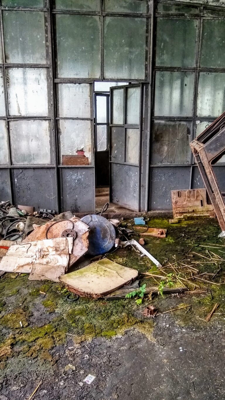Warsztat, Notyst Wielki, województwo warmińsko-mazurskie - zdjęcie z relacji 4