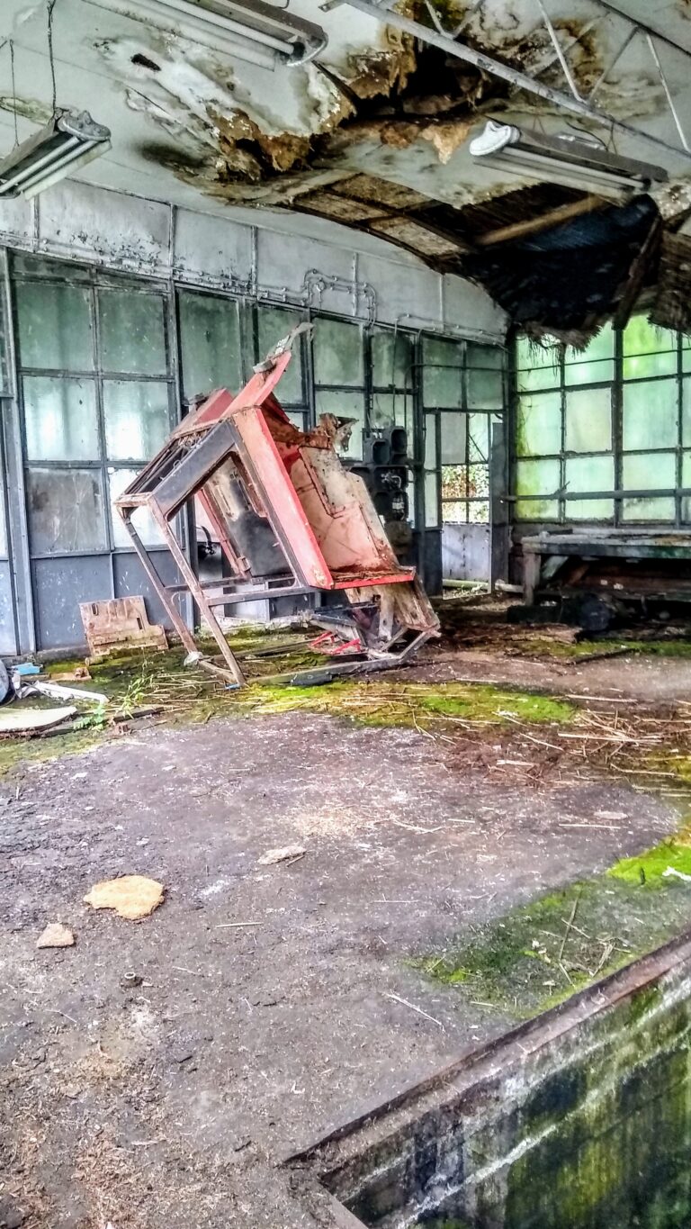 Warsztat, Notyst Wielki, województwo warmińsko-mazurskie - zdjęcie z relacji 1
