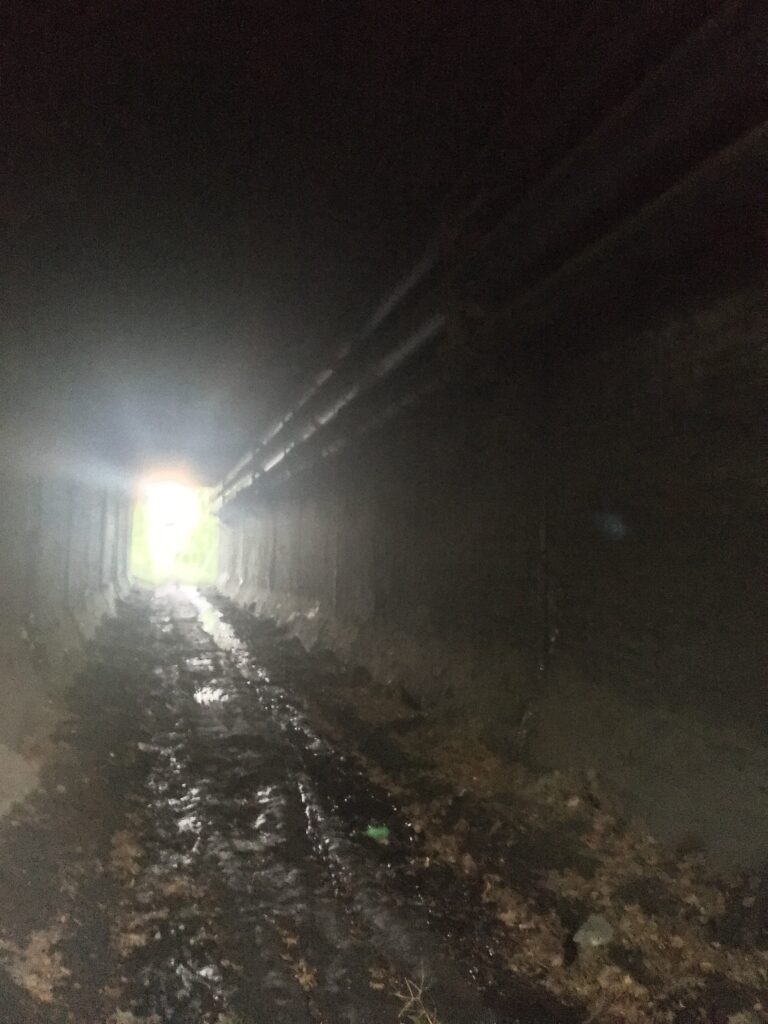 Tunel Kolei Piaskowej na Zaborzu, Zabrze, województwo śląskie - relacja z 09.2020, zdjęcie 3