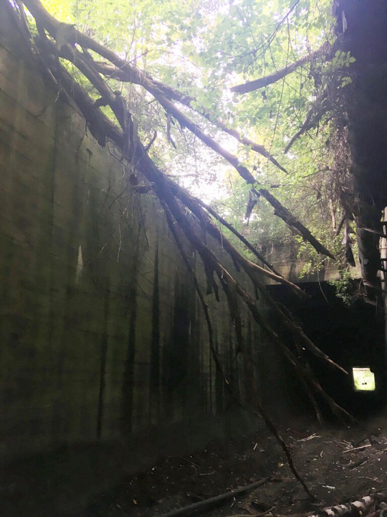 Tunel Kolei Piaskowej na Zaborzu, Zabrze, województwo śląskie - relacja z 09.2020, zdjęcie 2