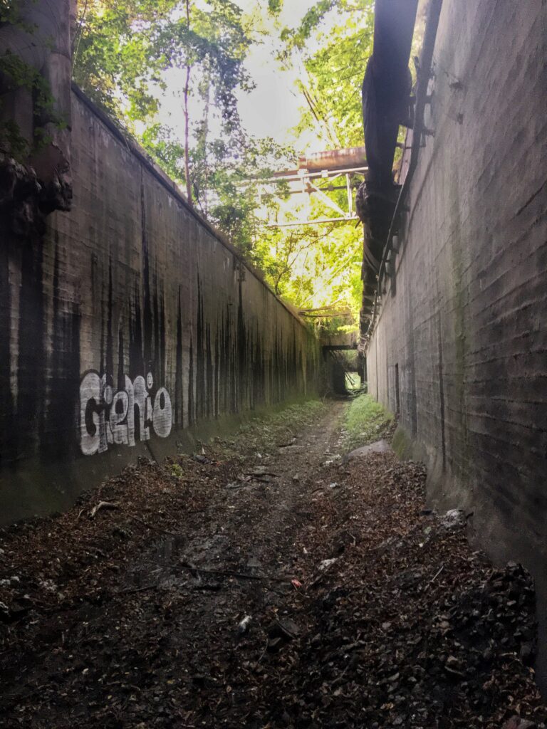 Tunel Kolei Piaskowej na Zaborzu, Zabrze, województwo śląskie - relacja z 09.2020, zdjęcie 1