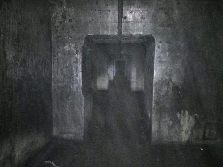 Fort VII Cybulice, Cybulice Małe, województwo mazowieckie - relacja z 09.2020, zdjęcie 6