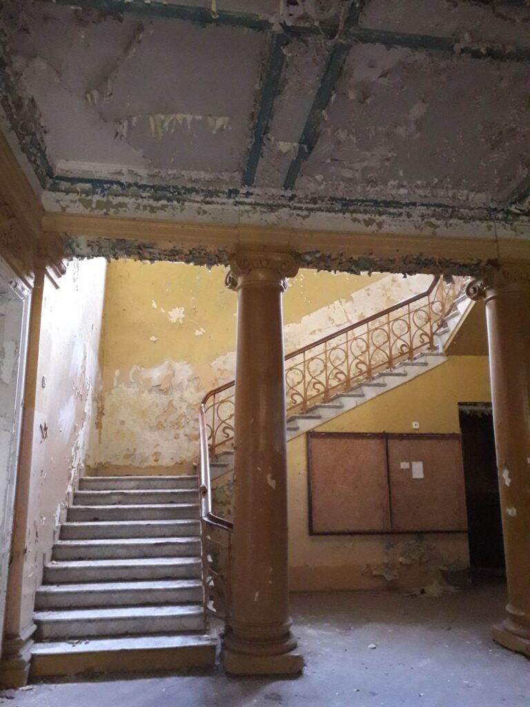 Pałac wola boglewska, Wola Boglewska, województwo mazowieckie - relacja z 07.2020, zdjęcie 5