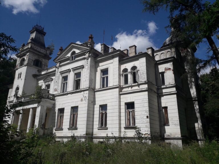 Pałac wola boglewska, Wola Boglewska, województwo mazowieckie - relacja z 07.2020, zdjęcie 3
