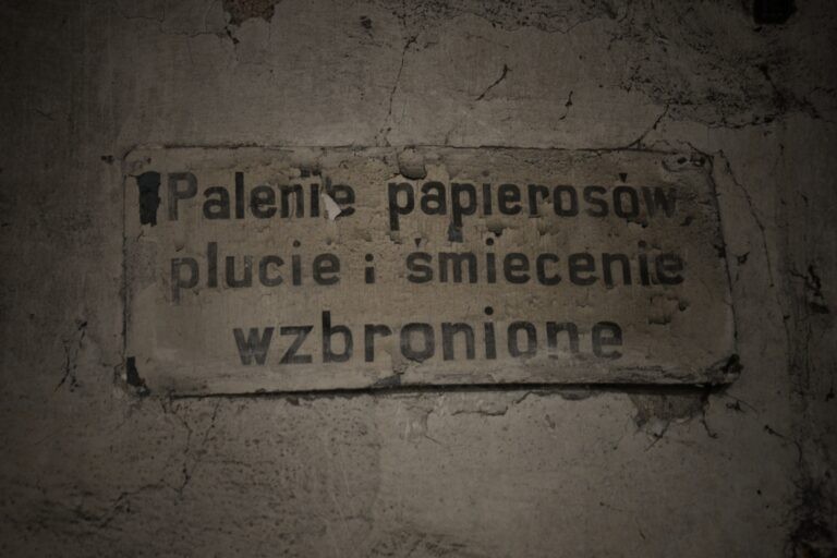 Stary młyn, Turek, województwo wielkopolskie - zdjęcie 4