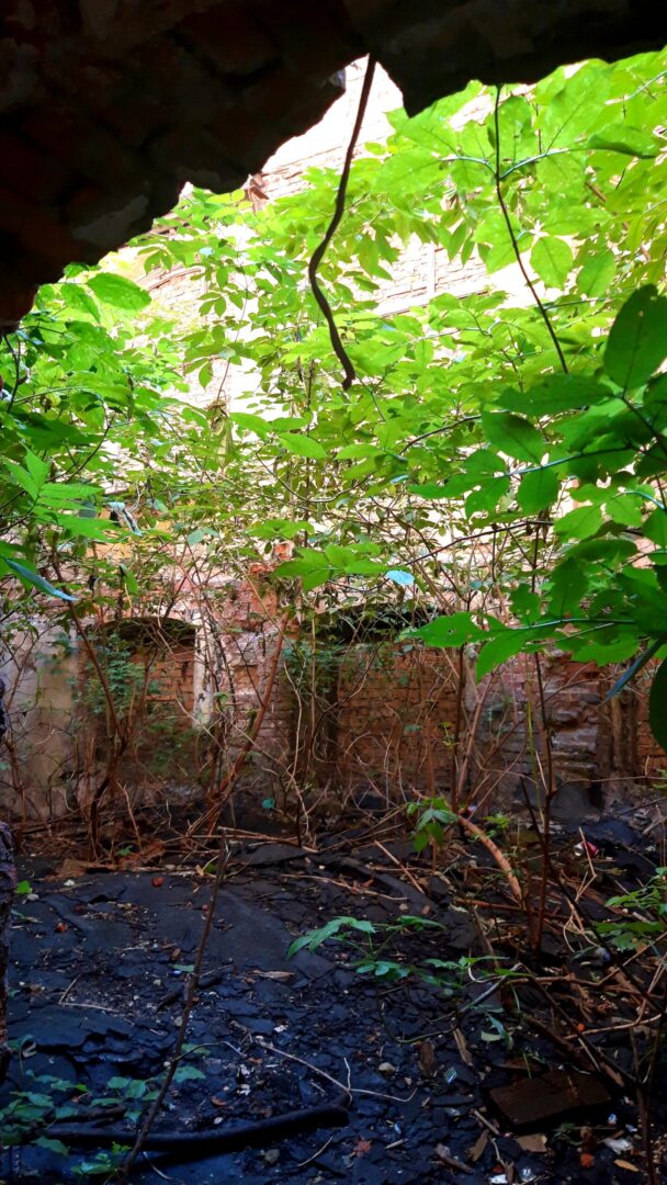 Ruiny Szkoły Podstawowej nr 8, Bytom, śląskie — zdjęcie 2