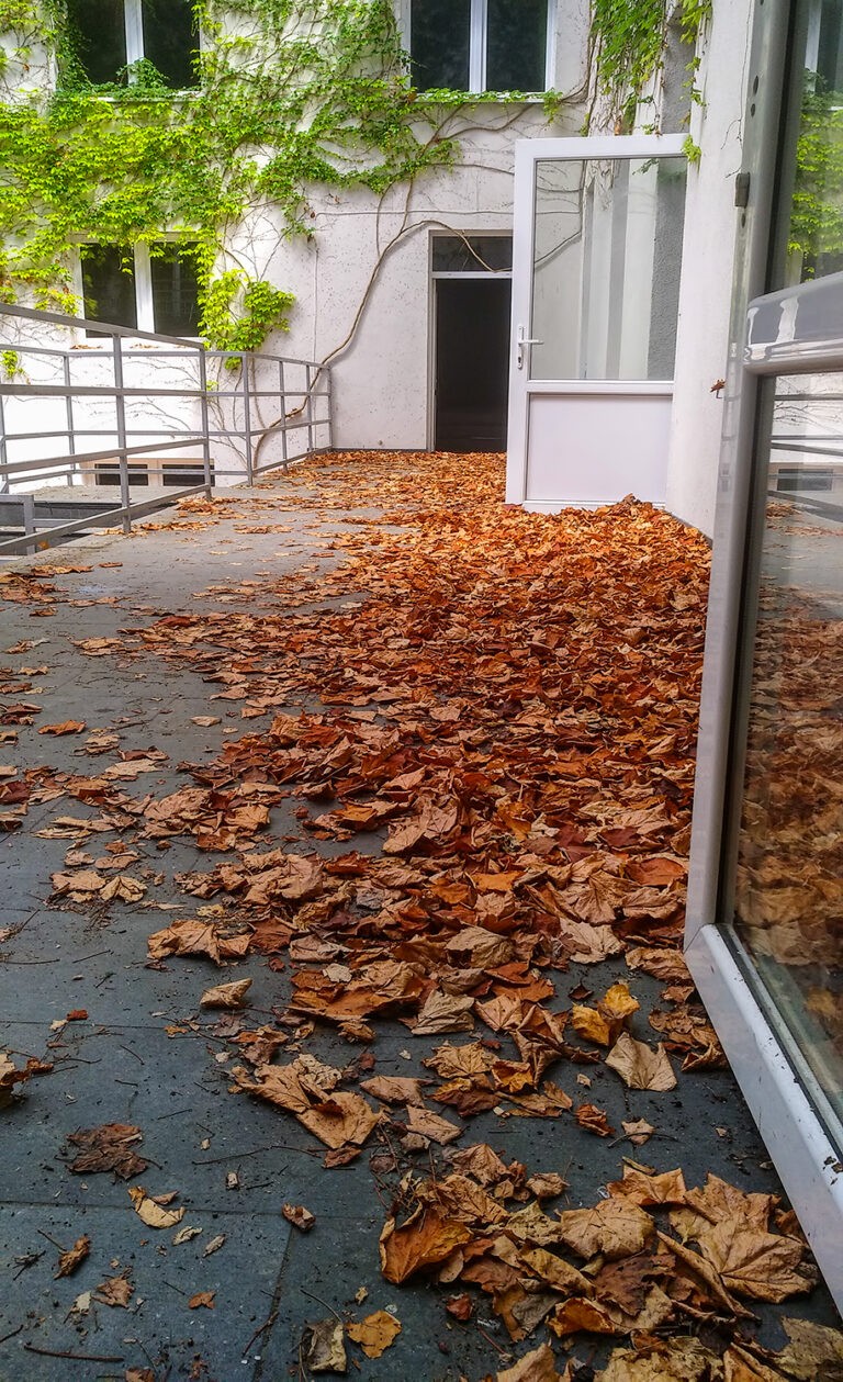Spa Morena w Łagowie., Łagów, województwo lubuskie - zdjęcie 8
