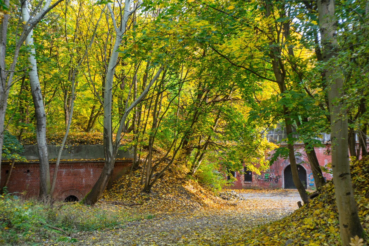 Fort IIA, Poznań, województwo wielkopolskie