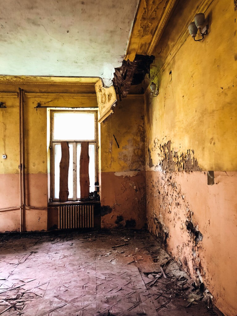 Pałac wola boglewska, Wola Boglewska, województwo mazowieckie - relacja z 10.2020, zdjęcie 14