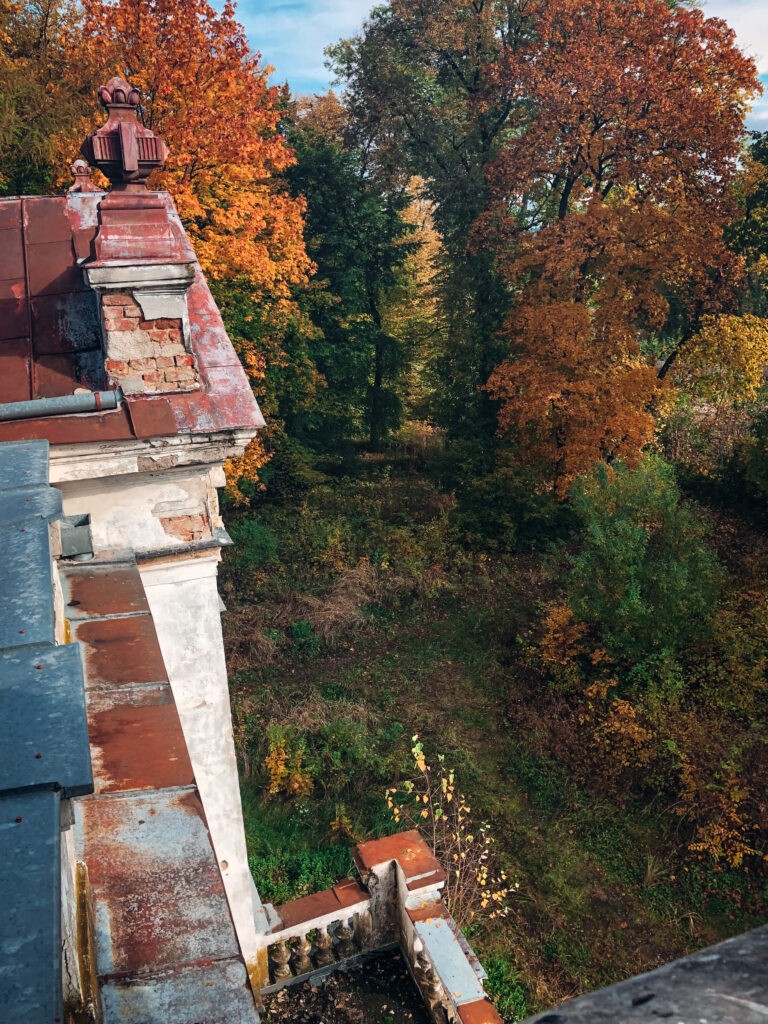Pałac wola boglewska, Wola Boglewska, województwo mazowieckie - relacja z 10.2020, zdjęcie 8