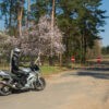 Bunkry Przeciw Lotnicze Trzaskowo