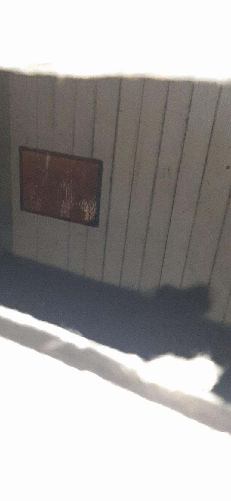 Opuszczone budynki, Falenty Duże, województwo mazowieckie - zdjęcie 1