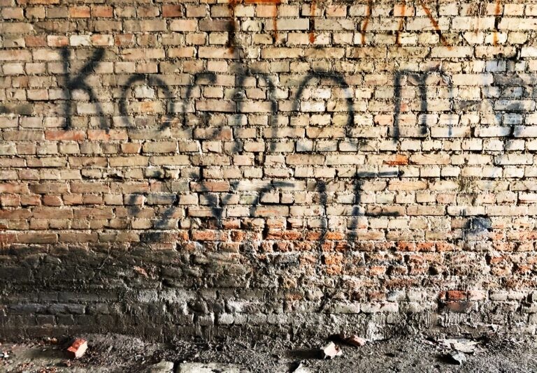 Stara cegielnia, Suchacz, województwo warmińsko-mazurskie - zdjęcie 9