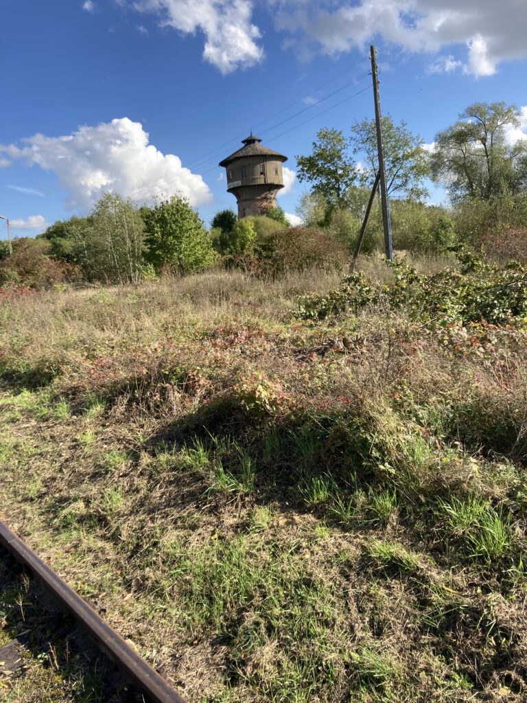 Opuszczona nastawnia kolejowa, Strzyżmin, województwo wielkopolskie - relacja z 10.2020, zdjęcie 1