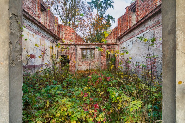 Mauzoleum rodziny Cohnów – ruiny., Dębno, województwo wielkopolskie - zdjęcie 2