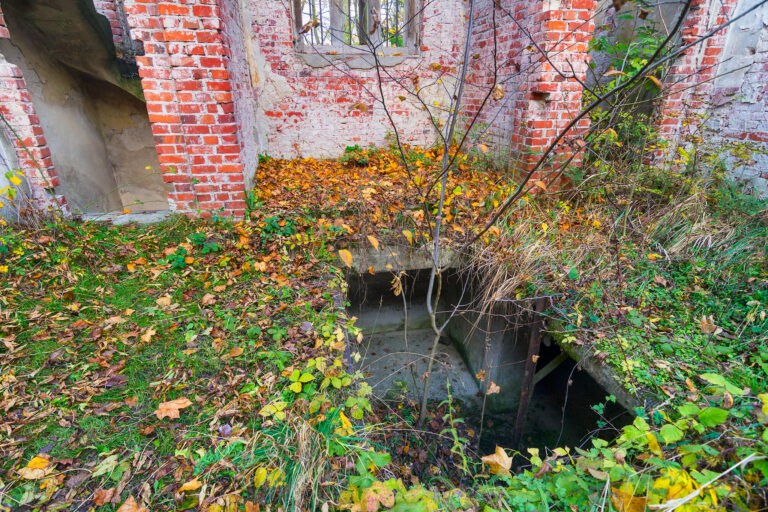 Mauzoleum rodziny Cohnów – ruiny., Dębno, województwo wielkopolskie - zdjęcie 3