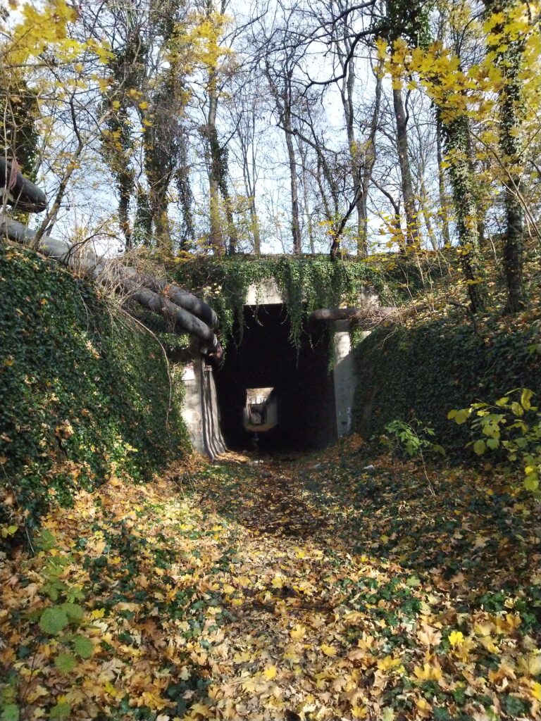 Tunel Kolei Piaskowej na Zaborzu, Zabrze, województwo śląskie - relacja z 11.2020, zdjęcie 5