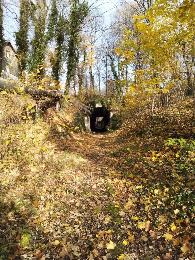 Tunel Kolei Piaskowej na Zaborzu, Zabrze, województwo śląskie - relacja z 11.2020, zdjęcie 4