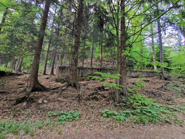 Podziemne Miasto Osówka/ Riese, Głuszyca, województwo dolnośląskie - zdjęcie 1