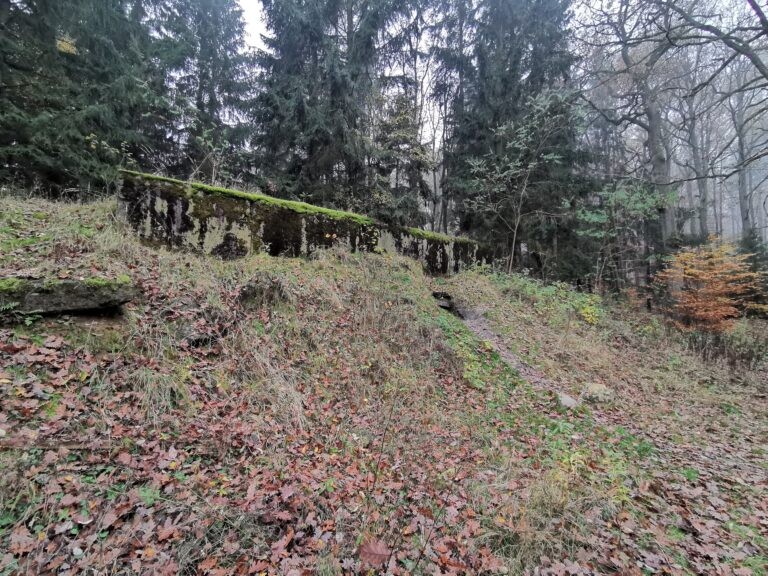 Templewo 3003, Owczarnia, województwo lubuskie - relacja z 09.2020, zdjęcie 1